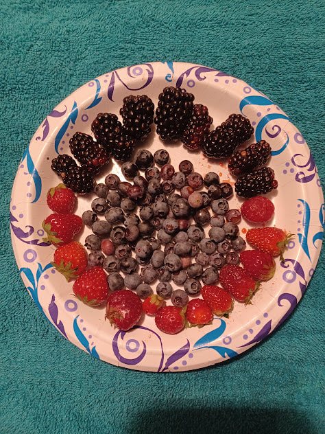 Did I mention, we also have blackberries in our side yard?  This is today's beautiful harvest!
